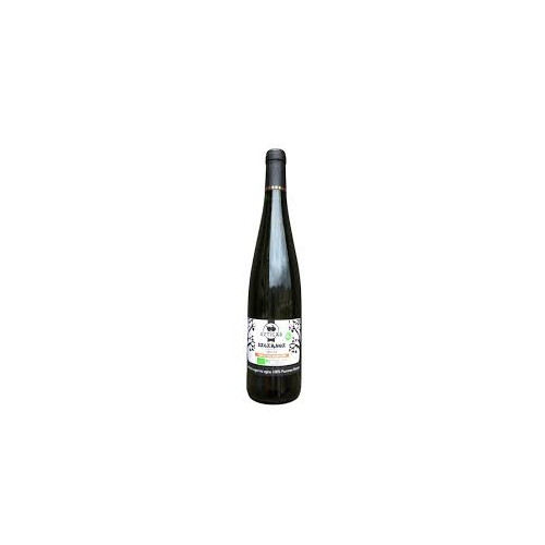 Raw Basque Cider Sagarnoa Organic - Eztigar
