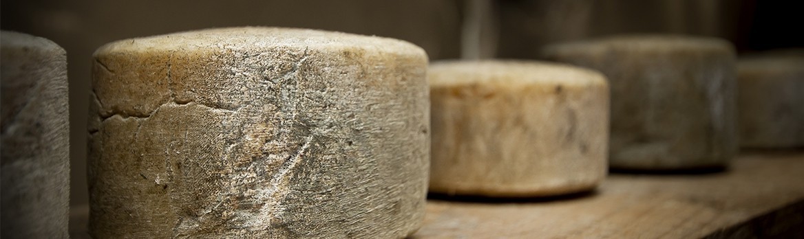 Basque Cheese
